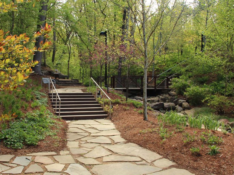 East Terrace Switchback Trail on steep slope with steps in woodland