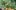 Butterfly sits on cluster of small orange flowers with green leaves