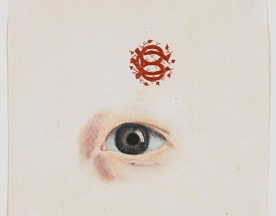 Illustration of a human eye with a red emblem resembling intertwined snakes above it.