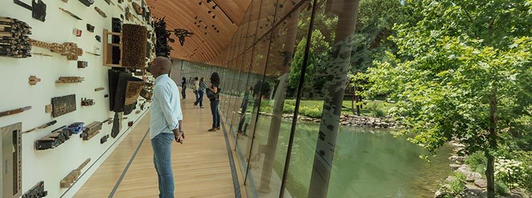 CB-360-Nature Modern gallery with glass wall, artworks on left, visitors observing, scenic greenery and pond right.