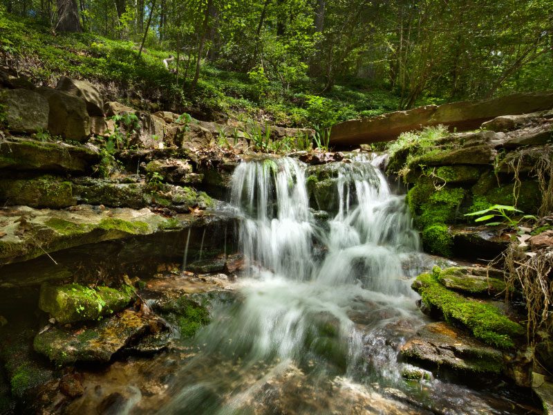 Crystal Spring Trail Small waterfall over mossy rocks in a lush forest with surrounding greenery.