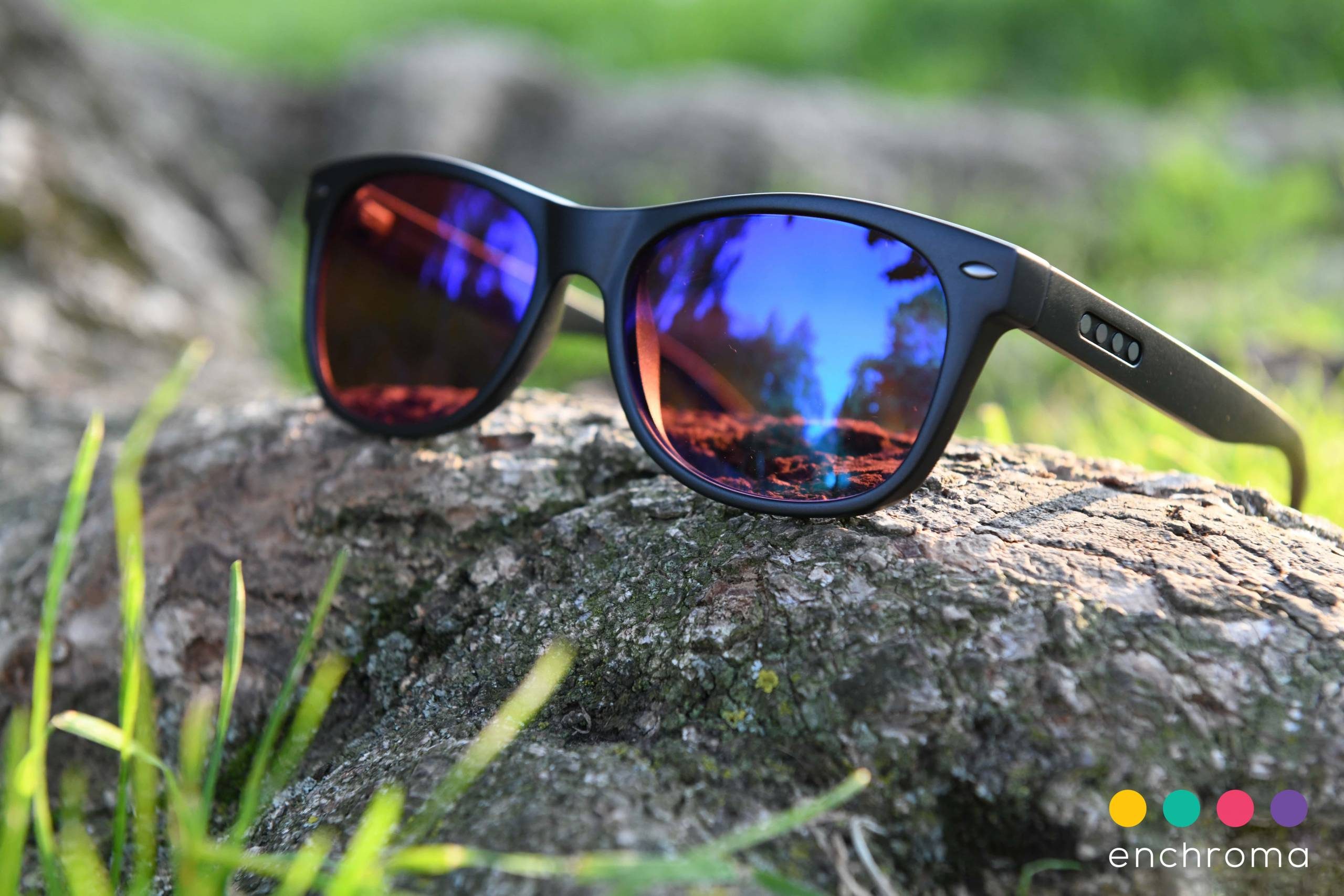 Color-blind Glasses Sunglasses with multicolored lenses on a tree trunk, logo