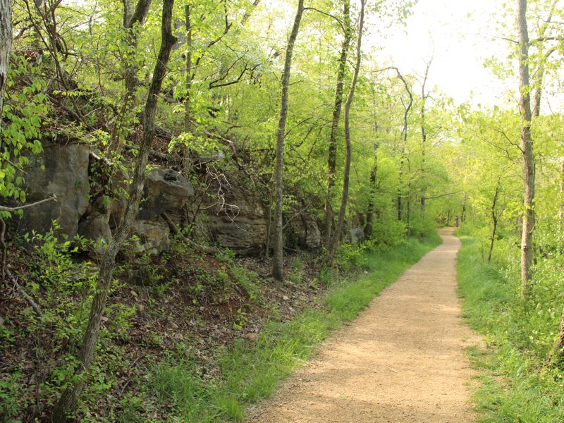Rock Ledge Trail Dirt path through lush forest with tall trees, rocky outcrops, and bright sunlight.