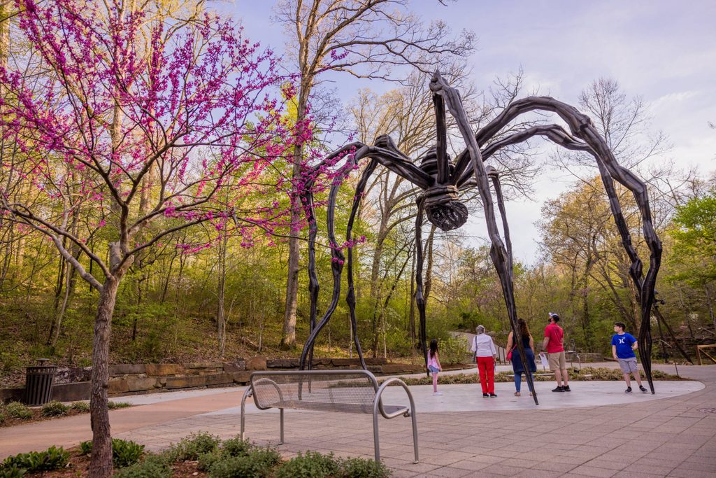Group near large spider sculpture in park with pink-blossomed tree and paved ground.
