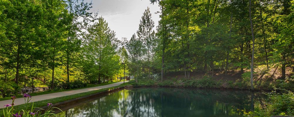 Park path beside a tranquil pond, surrounded by lush green foliage and trees.
