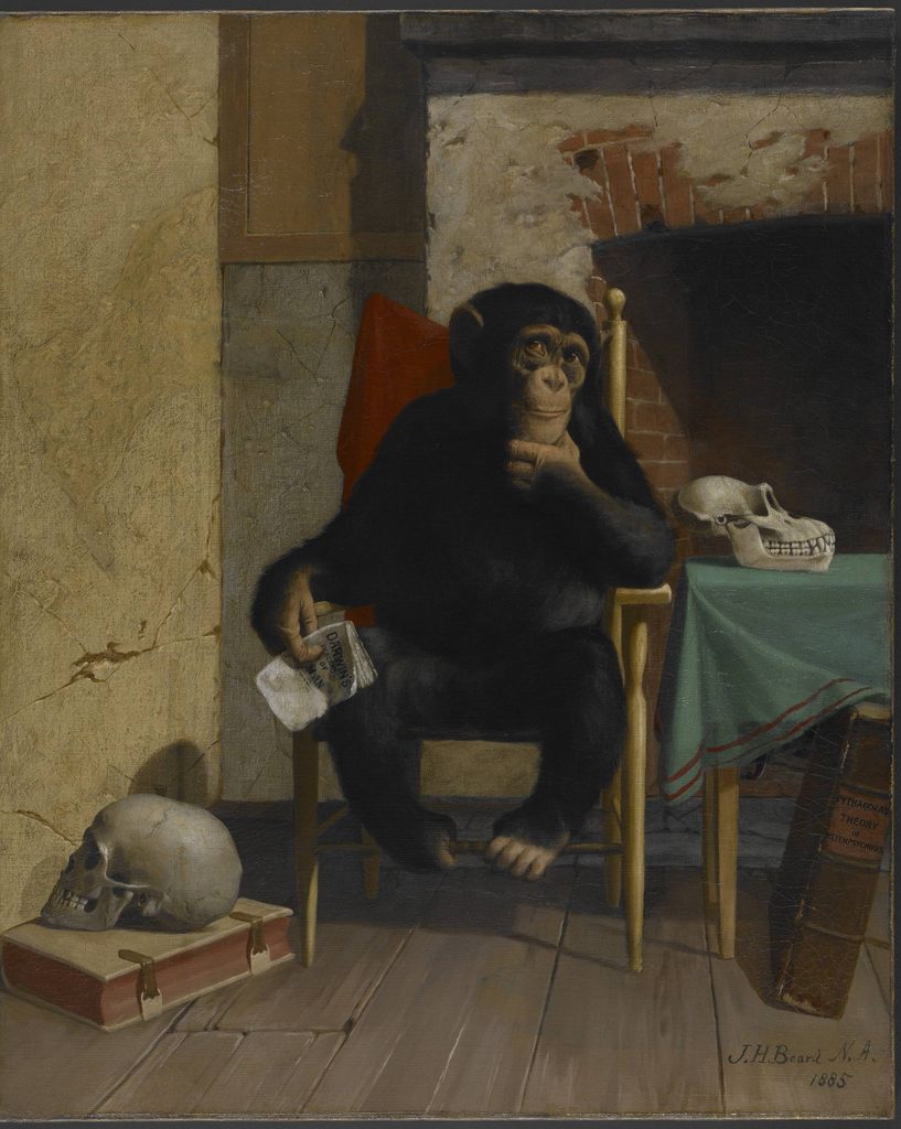Chimpanzee on a chair in a room with books, skulls, and a fireplace, holding paper labeled 