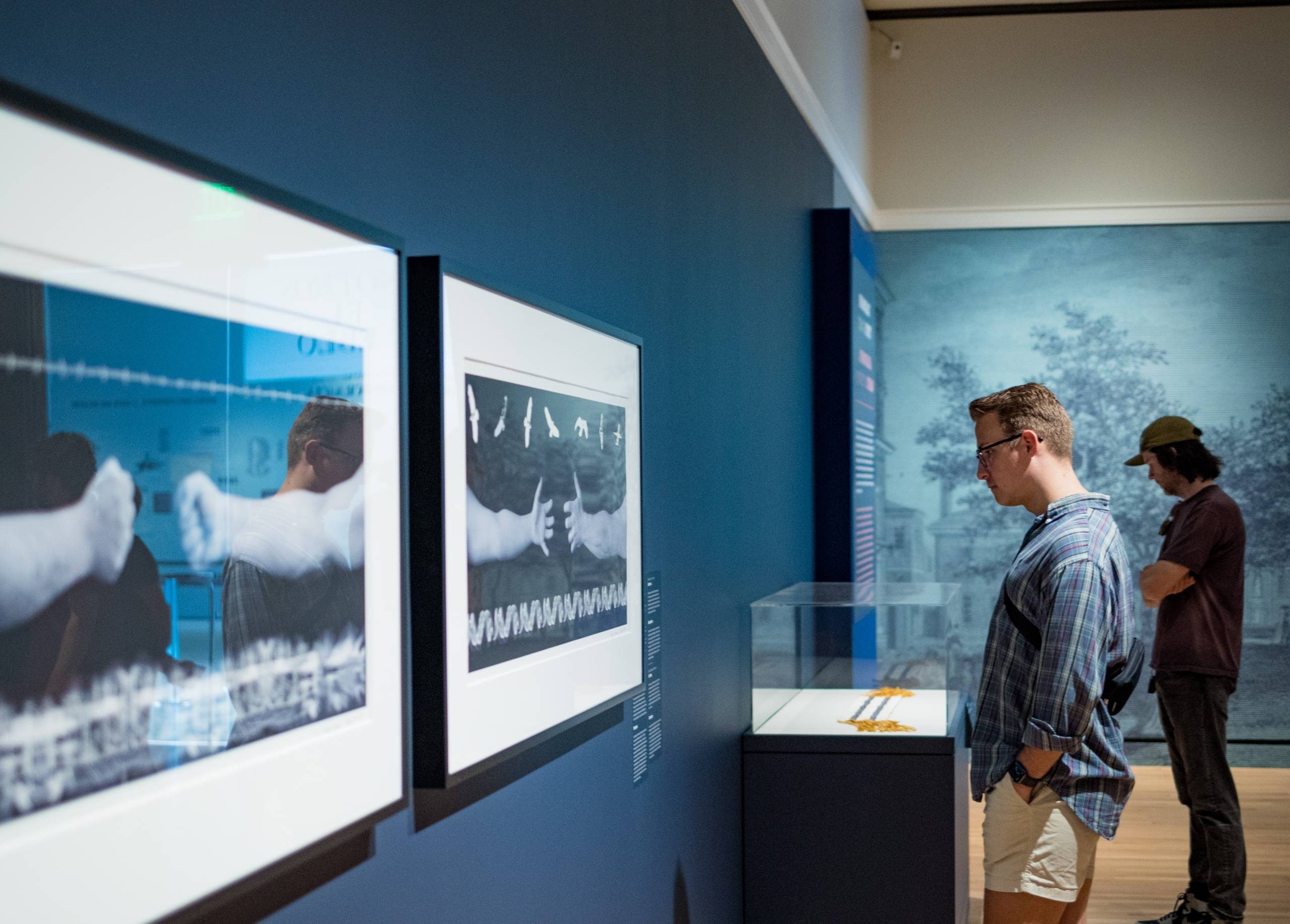 Photo by Stephen Ironside a person in a gallery stares at photograph works on a gallery wall from a side angle