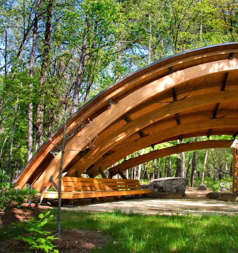 Tulip Tree Shelter Wooden pavilion with curved beams and benches in a lush, green forest setting.