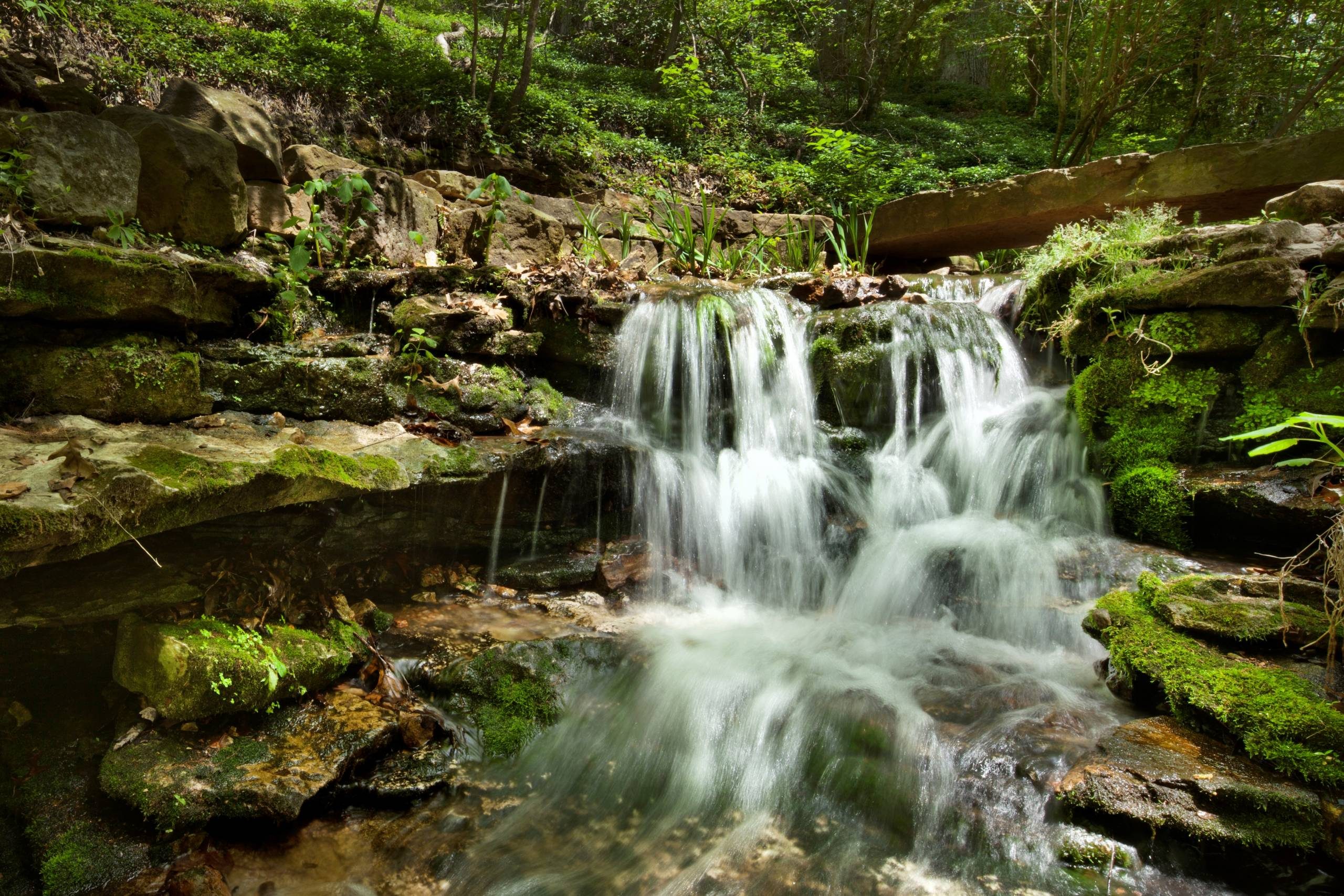 Water Fall Waterfall trickling down rocks