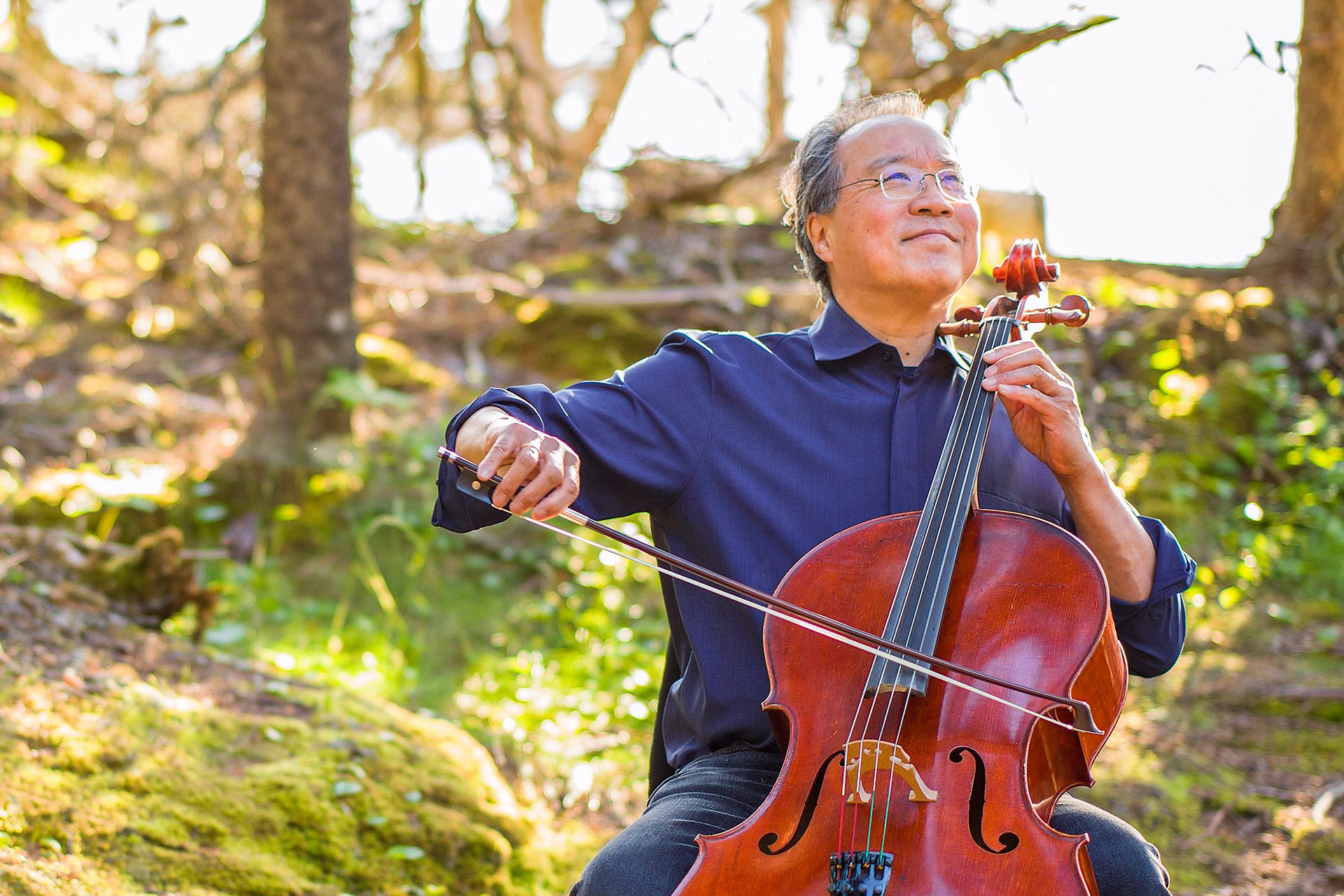 Yo-Yo Ma Person playing cello outdoors among trees with sunlight filtering through.